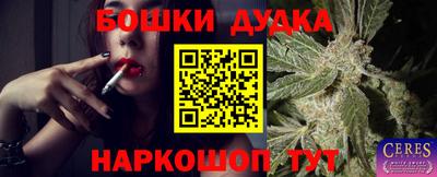гашик Краснодар