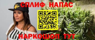 гашик Краснодар
