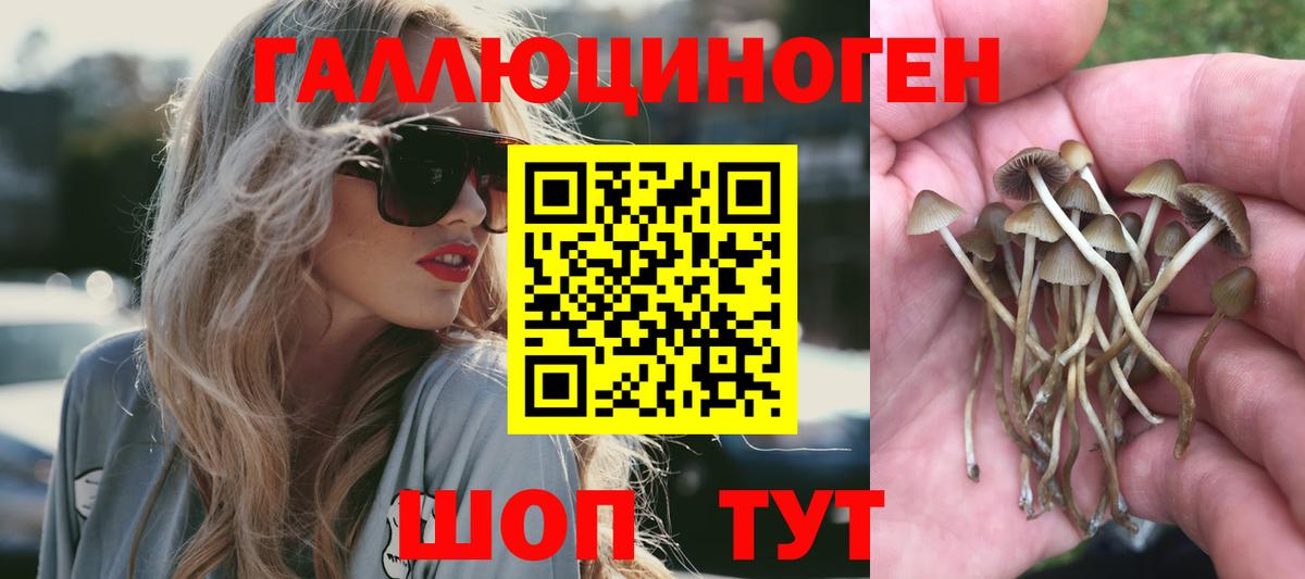 Ялта  Псилоцибиновые грибы Cubensis  цены наркотик  Вход с VPN 